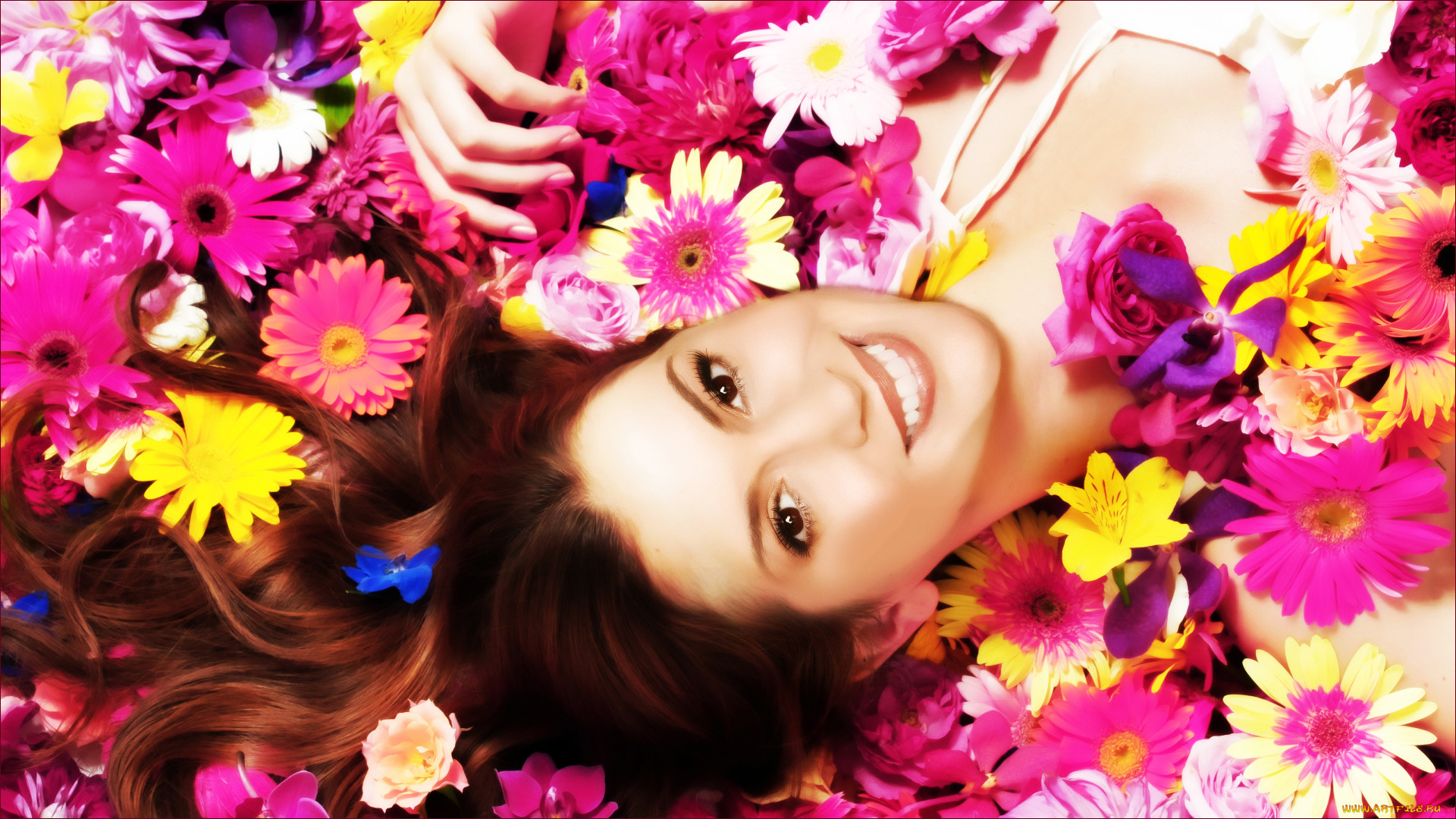charmed, , , , 